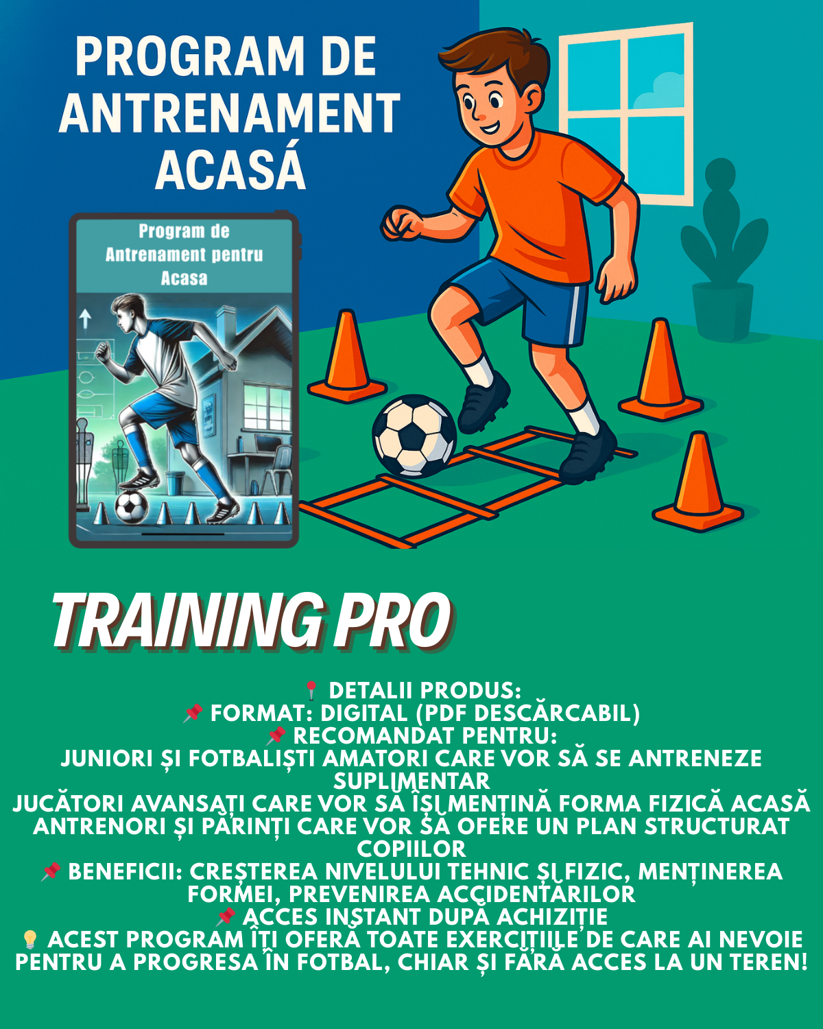 Program de Antrenament pentru Acasă